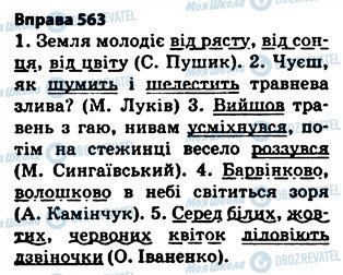 ГДЗ Українська мова 5 клас сторінка 563
