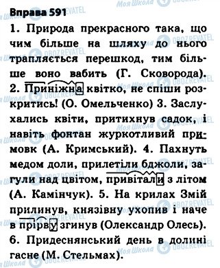 ГДЗ Українська мова 5 клас сторінка 591