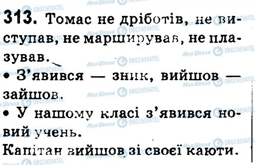 ГДЗ Українська мова 4 клас сторінка 313