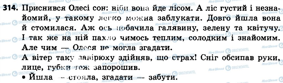 ГДЗ Українська мова 4 клас сторінка 314