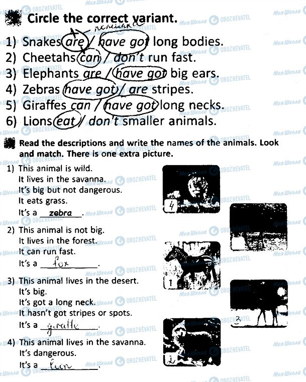 ГДЗ Английский язык 4 класс страница 37