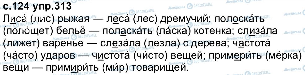 ГДЗ Російська мова 4 клас сторінка 313