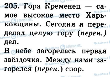ГДЗ Російська мова 4 клас сторінка 205