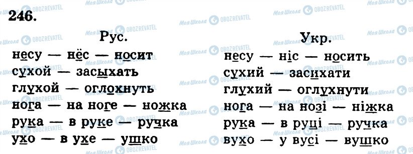 ГДЗ Русский язык 4 класс страница 246