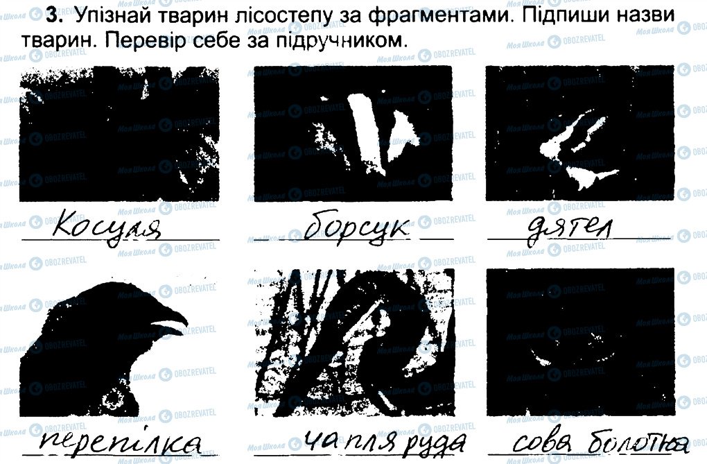 ГДЗ Природоведение 4 класс страница 3