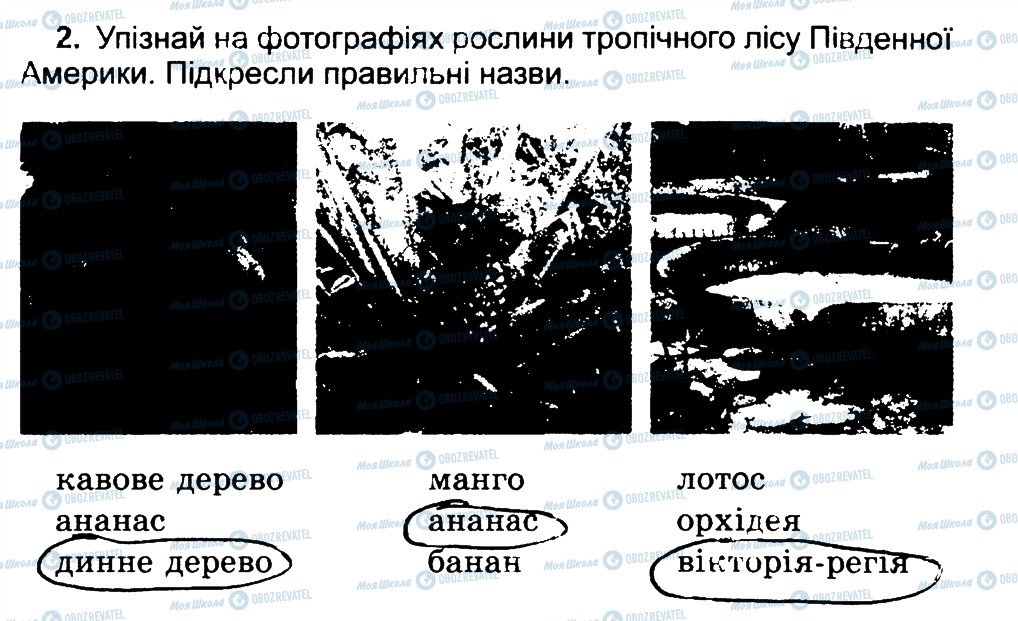 ГДЗ Природознавство 4 клас сторінка 2