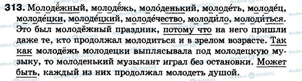 ГДЗ Російська мова 3 клас сторінка 313