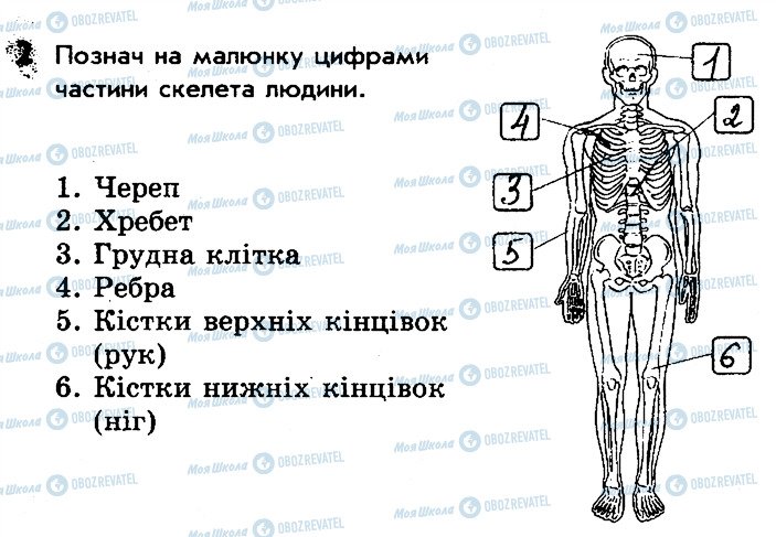 ГДЗ Природоведение 3 класс страница 2