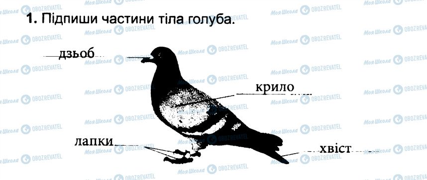 ГДЗ Природознавство 3 клас сторінка 1