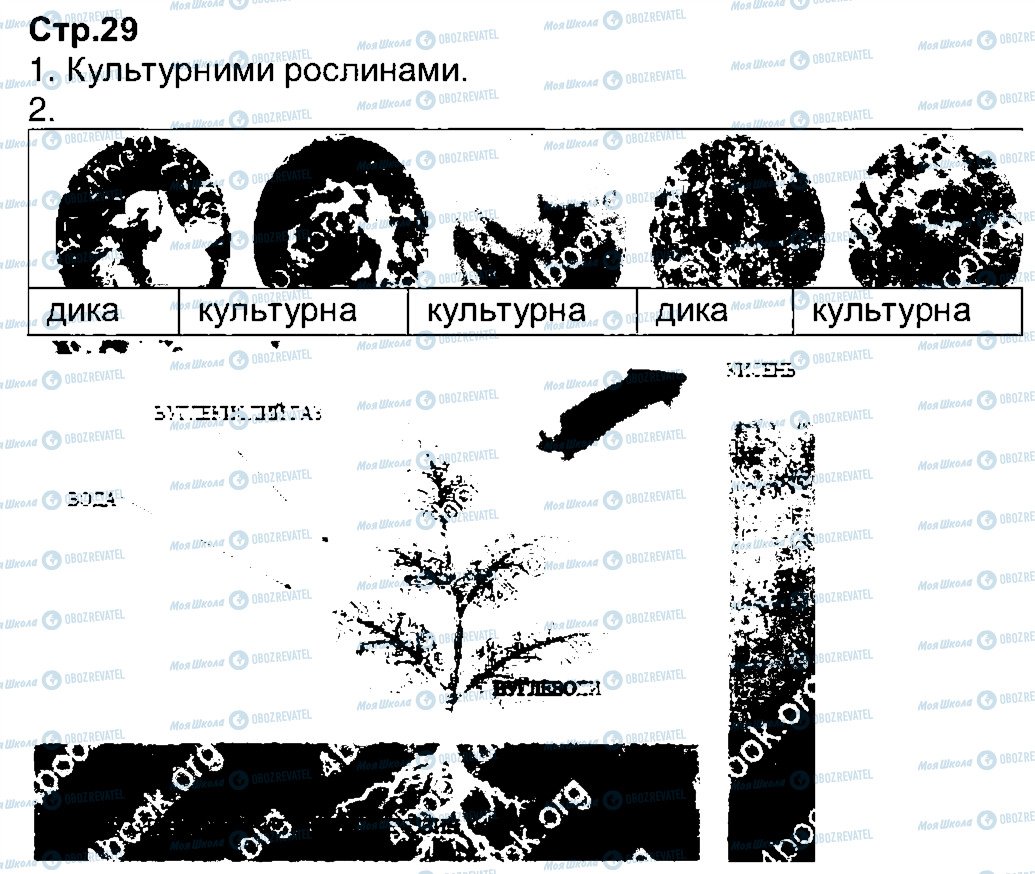 ГДЗ Природоведение 3 класс страница 29