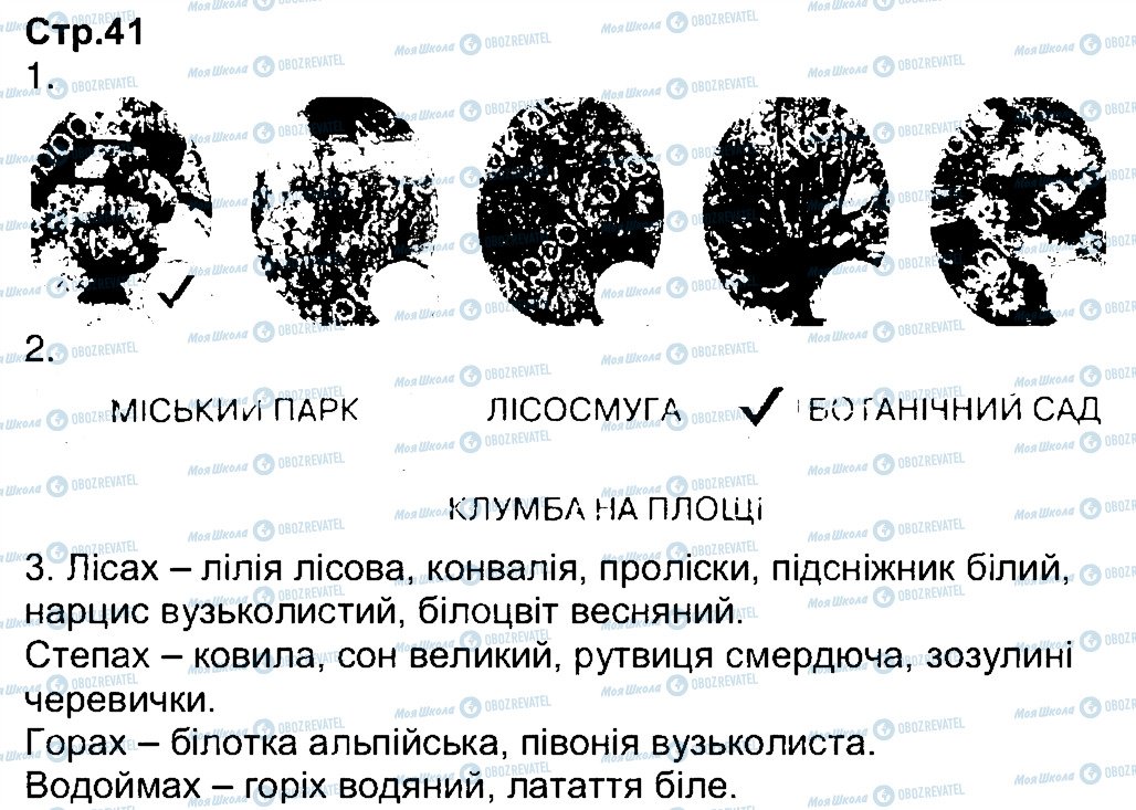 ГДЗ Природознавство 3 клас сторінка 41