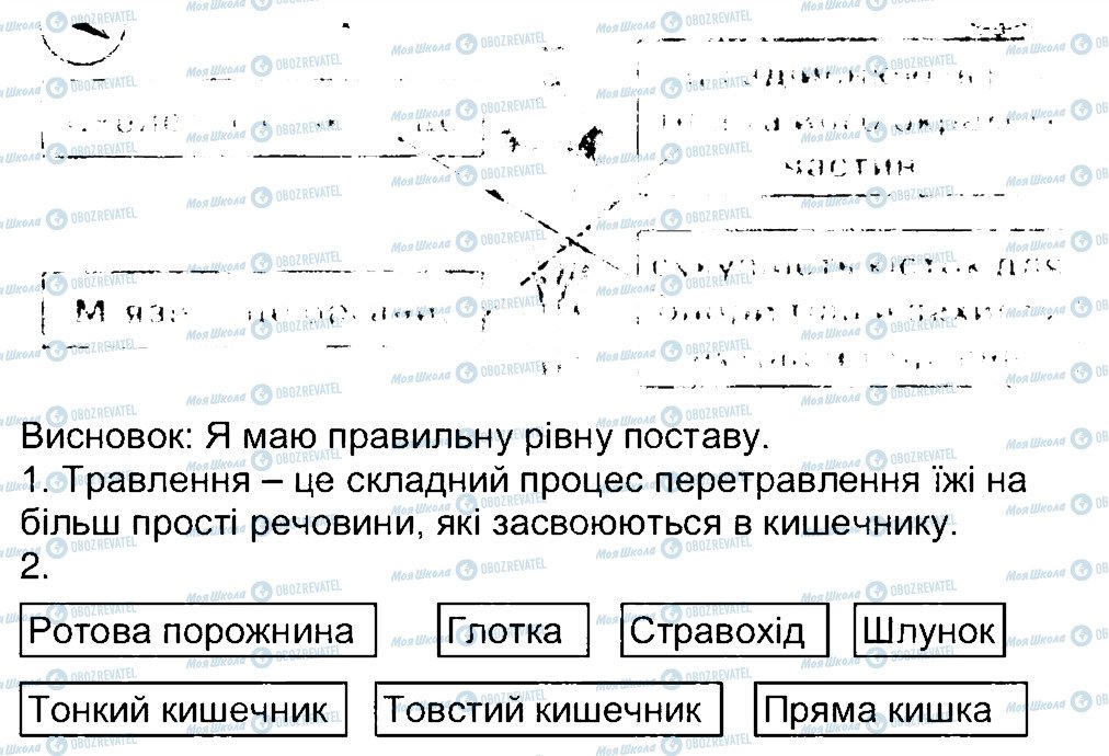 ГДЗ Природоведение 3 класс страница 47