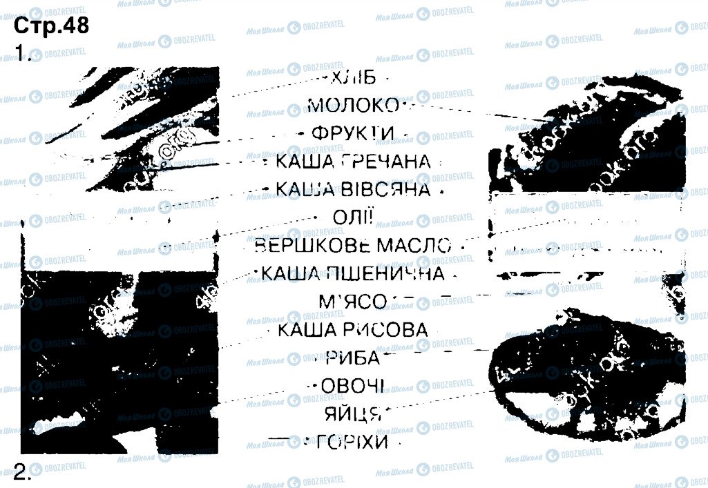 ГДЗ Природознавство 3 клас сторінка 48