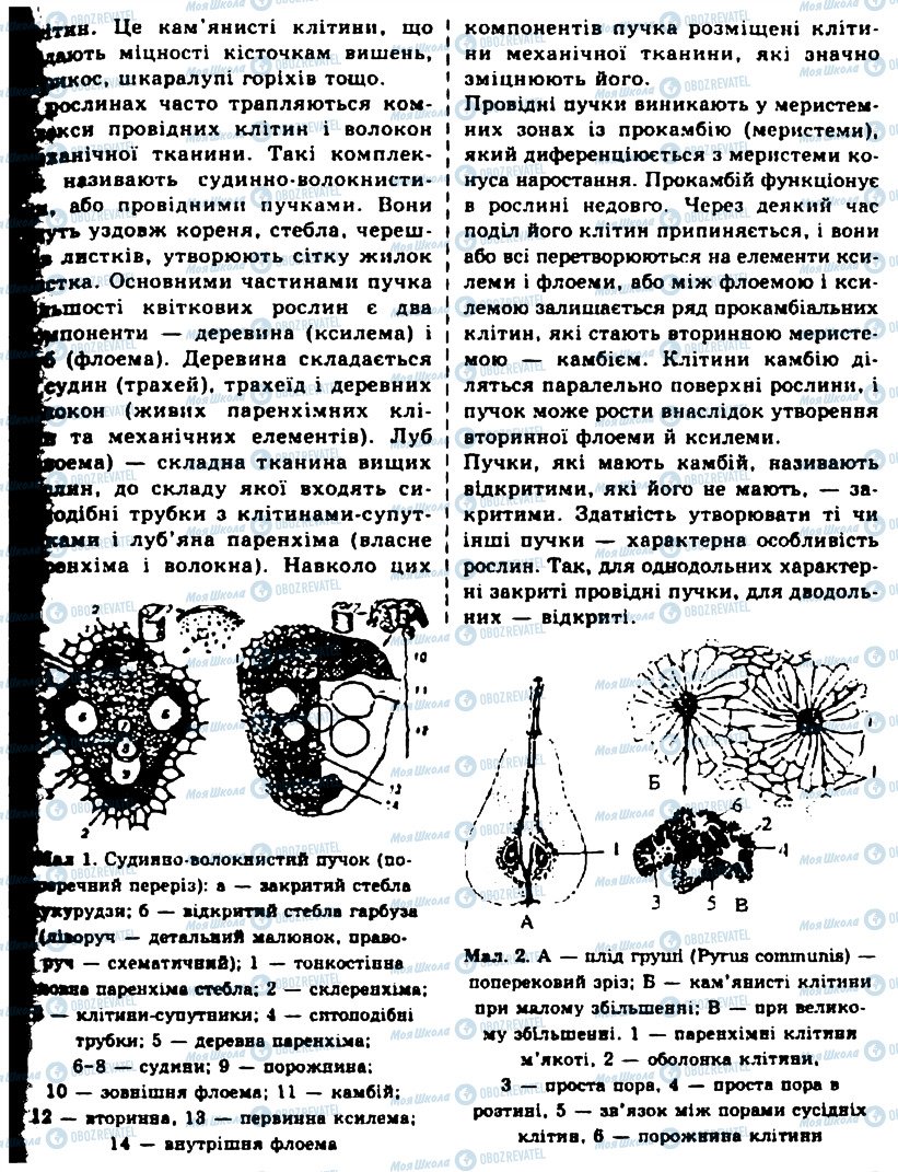 ГДЗ Биология 10 класс страница ЛР12