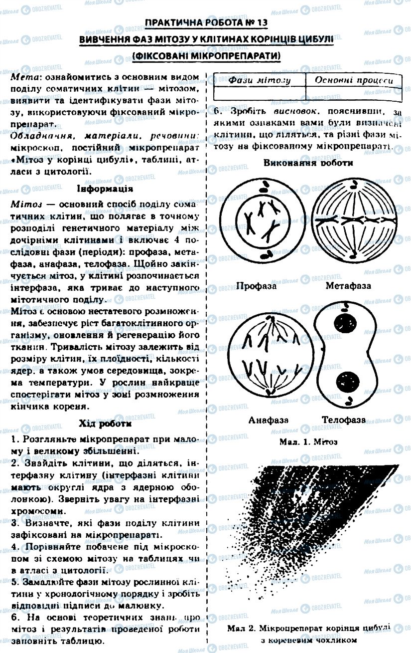 ГДЗ Биология 10 класс страница ПР13