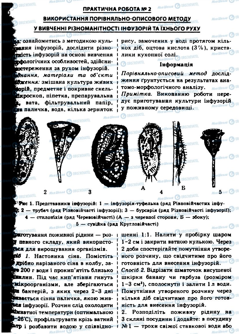 ГДЗ Биология 10 класс страница ПР2