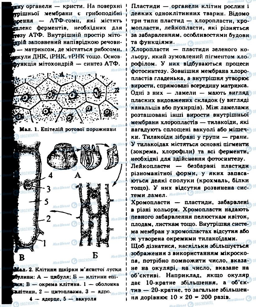 ГДЗ Биология 10 класс страница ПР9