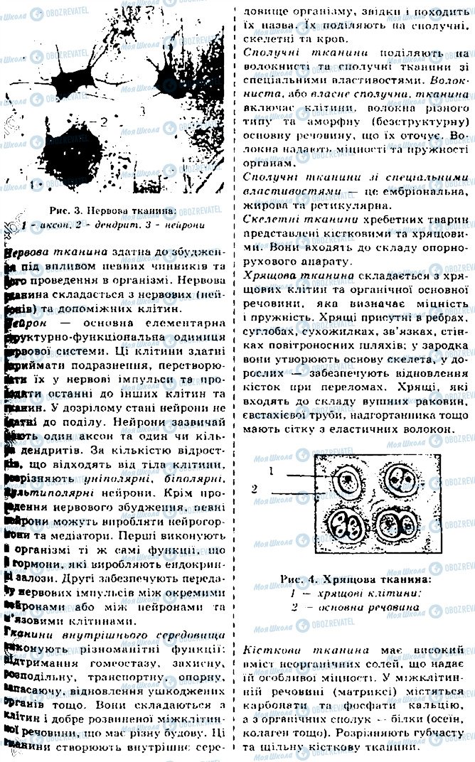 ГДЗ Біологія 10 клас сторінка 3