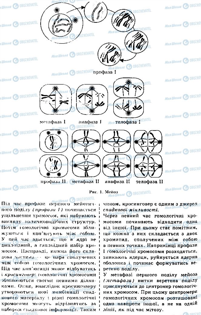 ГДЗ Биология 10 класс страница 1