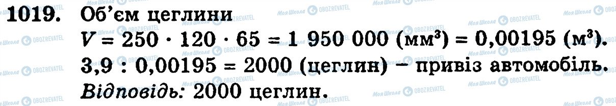 ГДЗ Математика 5 клас сторінка 1019