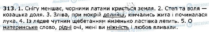 ГДЗ Українська мова 5 клас сторінка 313