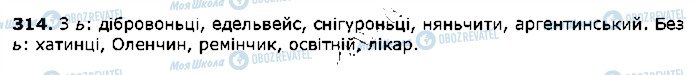 ГДЗ Українська мова 5 клас сторінка 314