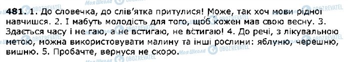 ГДЗ Українська мова 5 клас сторінка 481