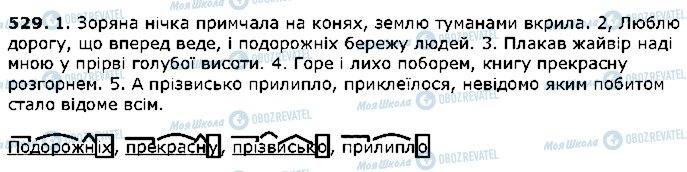 ГДЗ Українська мова 5 клас сторінка 529