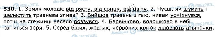 ГДЗ Українська мова 5 клас сторінка 530