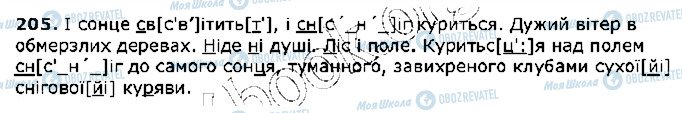 ГДЗ Українська мова 5 клас сторінка 205