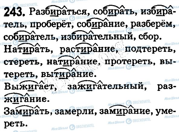 ГДЗ Русский язык 5 класс страница 243