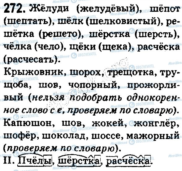 ГДЗ Русский язык 5 класс страница 272