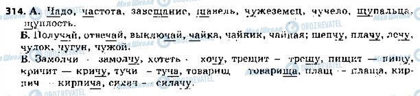 ГДЗ Російська мова 5 клас сторінка 314