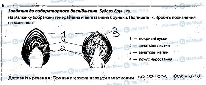 ГДЗ Биология 6 класс страница 6