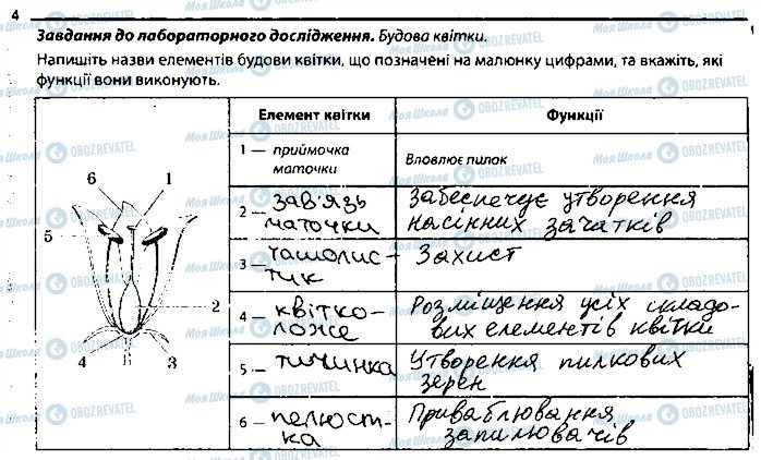 ГДЗ Біологія 6 клас сторінка 4