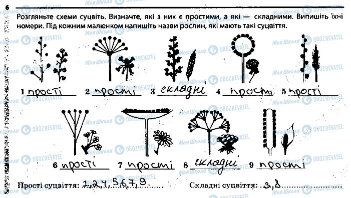 ГДЗ Біологія 6 клас сторінка 6