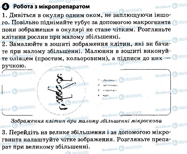 ГДЗ Биология 6 класс страница 4