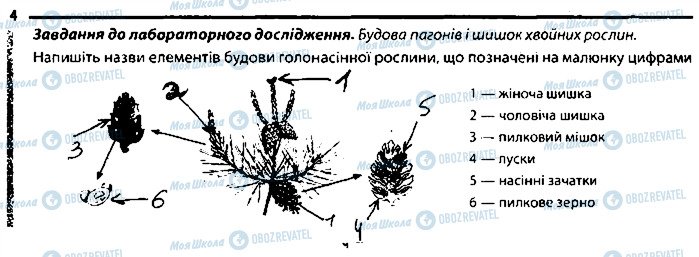 ГДЗ Біологія 6 клас сторінка 4