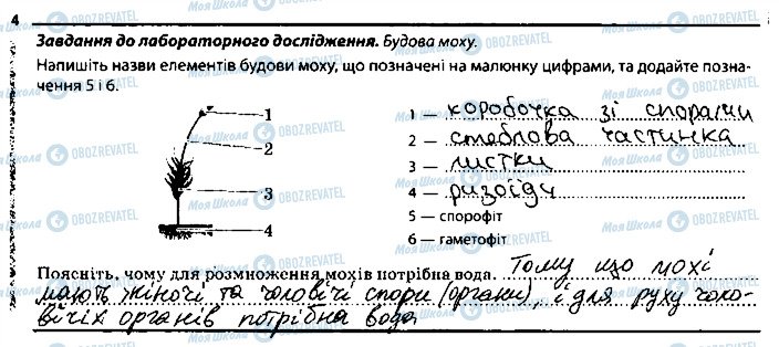 ГДЗ Біологія 6 клас сторінка 4