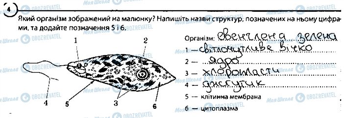 ГДЗ Биология 6 класс страница 4