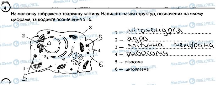 ГДЗ Биология 6 класс страница 4