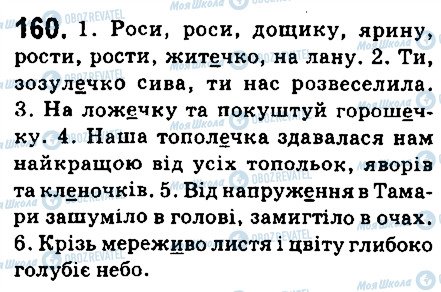 ГДЗ Українська мова 6 клас сторінка 160