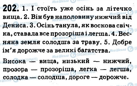 ГДЗ Українська мова 6 клас сторінка 202