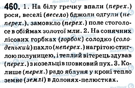 ГДЗ Українська мова 6 клас сторінка 460