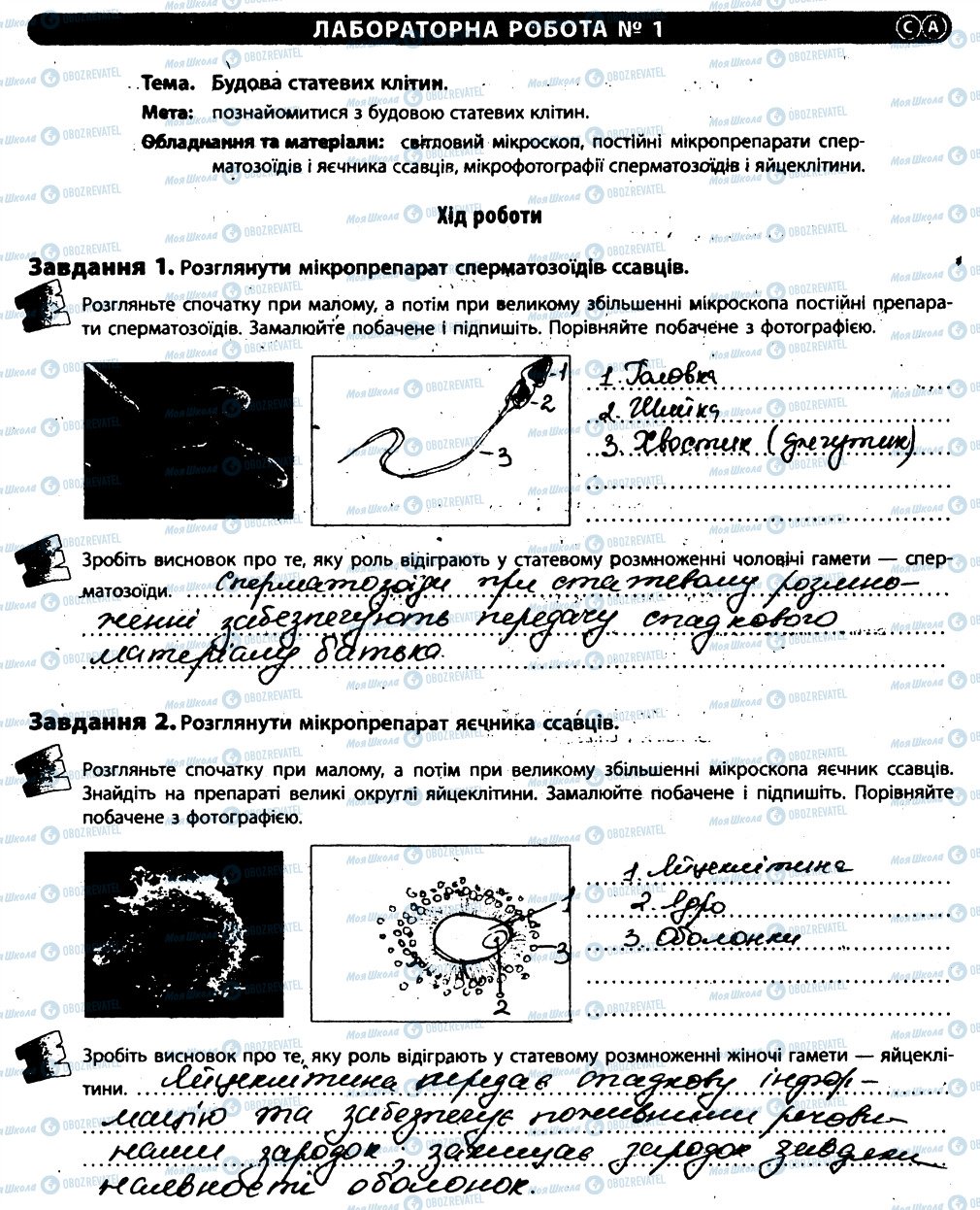 ГДЗ Биология 11 класс страница ЛР1