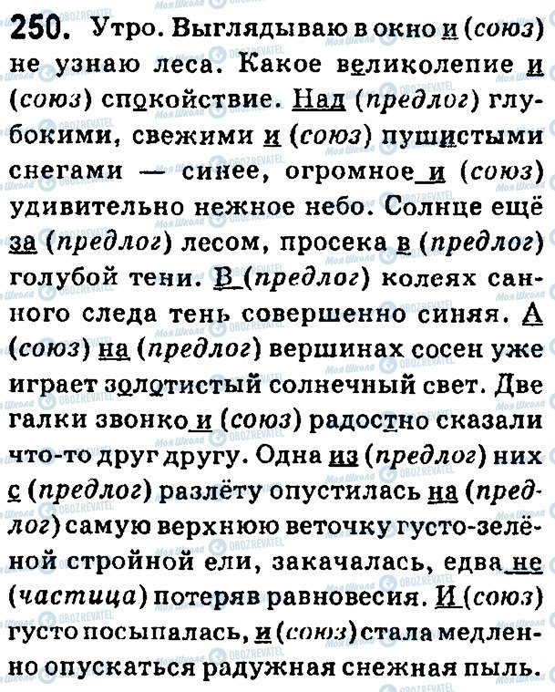 ГДЗ Російська мова 7 клас сторінка 250