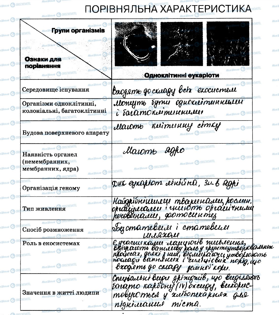 ГДЗ Біологія 10 клас сторінка стор12