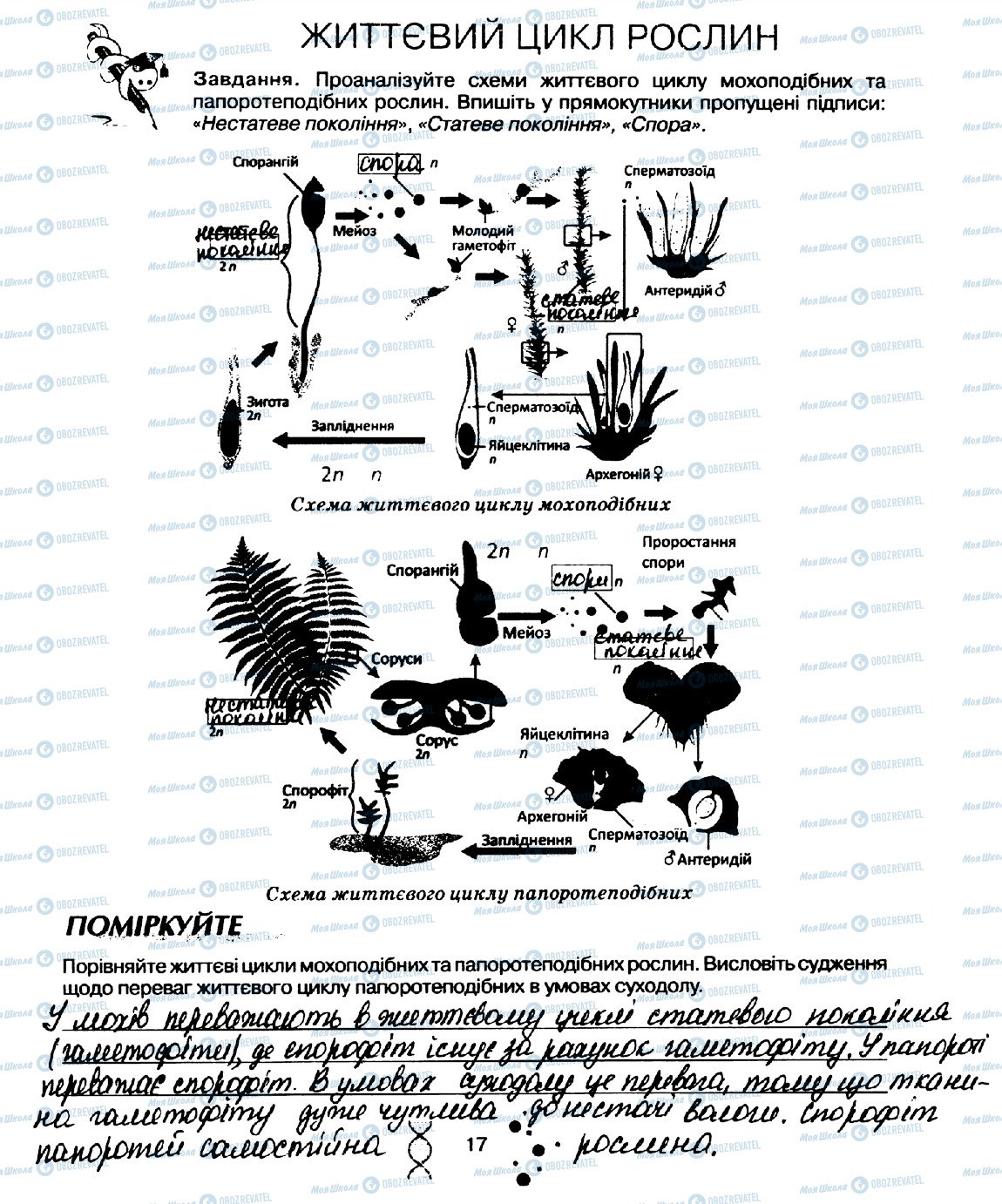 ГДЗ Біологія 10 клас сторінка стор17