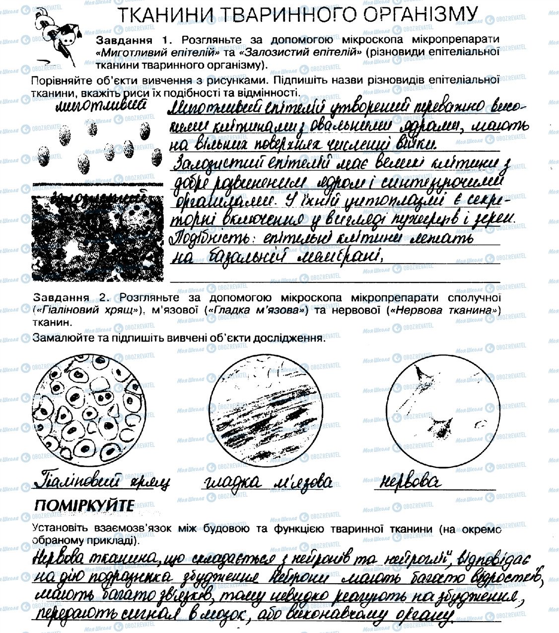 ГДЗ Біологія 10 клас сторінка стор18