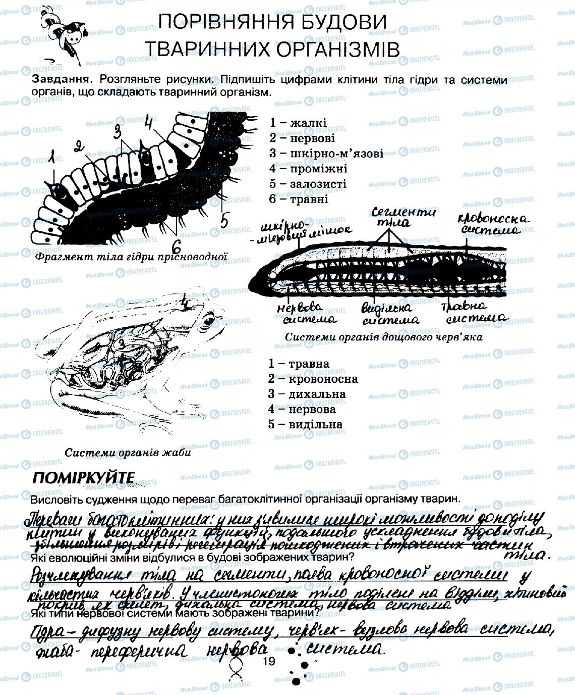 ГДЗ Біологія 10 клас сторінка стор19